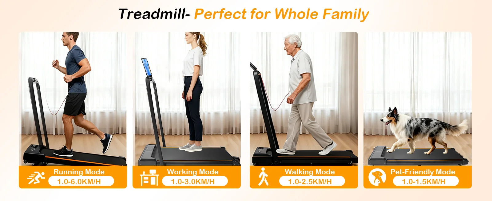 3-in-1 Home/Office Walking Pad